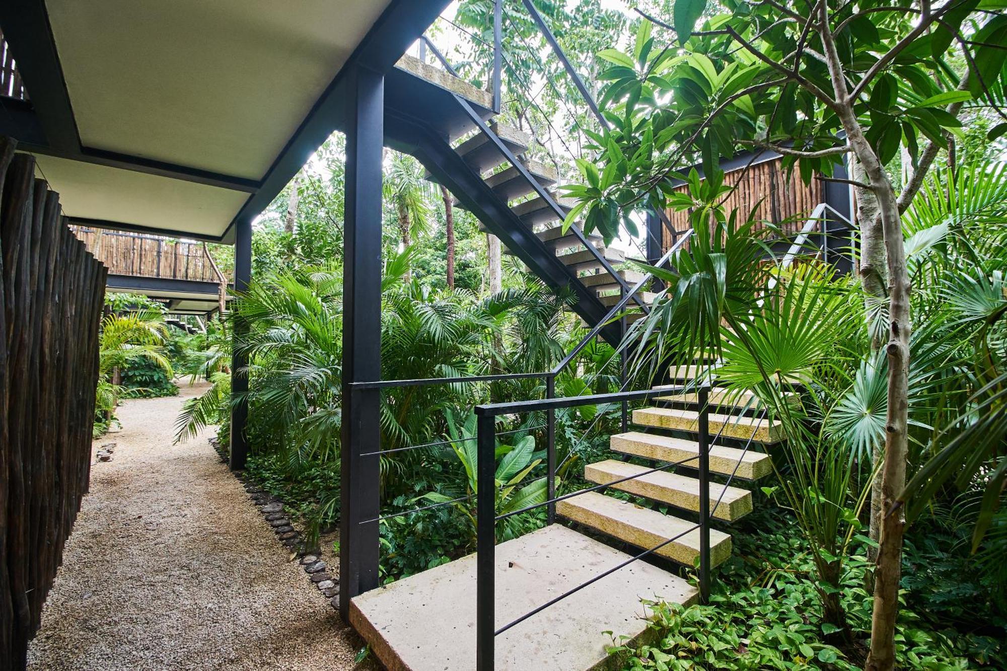 Dhalia - Private Roof With Pool & Beach Club Access Tulum Dış mekan fotoğraf